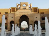 Egypt: AUC grad student creates advanced device for allergy testing