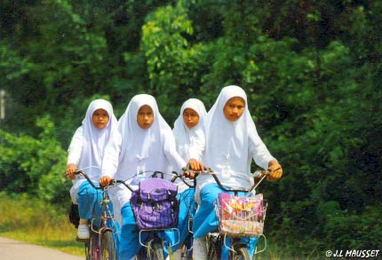 Reviving a Tradition: Muslim Women as Religious Authorities 