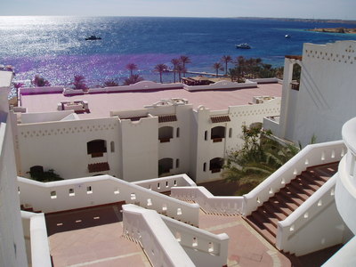 Bush: Last stop on Middle East freedom tour