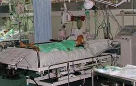 Relatives of stranded Gaza patients hold Egypt responsible for their lives