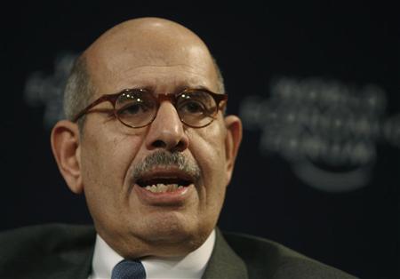 Mohamed ElBaradei: The View From the Muslim World