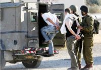 Report: 4,524 Palestinians detained by Israel since the start of this year