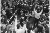 To The Egyptian Government