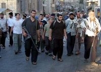 Knesset committee recommends law set to arm more settlers