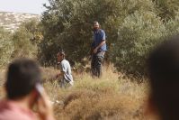 Israeli authorities deny Salfit farmers access to olive crops