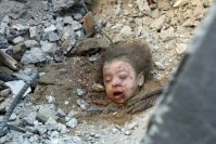 The First Anniversary of Gaza Massacre