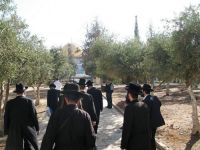 Jewish settlers storm Aqsa Mosque