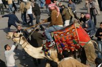 Muslim Brotherhood to Join Protests against Acquittal of Revolution’s Camel Battle Defendants