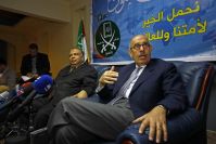 ElBaradei: Differences with MB don't preclude sharing goals