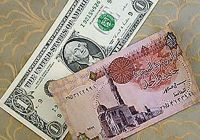 Worldwide Campaign by Egyptian Expats to Support Economy Finds Support in the Gulf