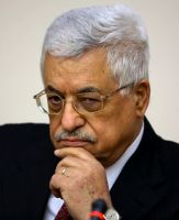 The Vichy Government of Palestine