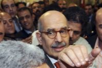 ElBaradei meets Egyptian intellects in US