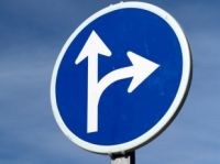 Muslim Brotherhood vs Saudi Salafis – The Political War for the Muslim Mind