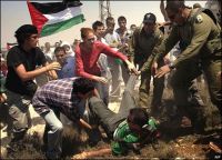 Dozens of marchers injured during West Bank marches against wall
