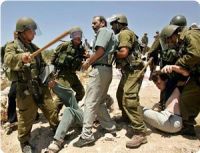 Civilians and reporters wounded in IOF shooting