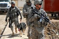 Bring me the head of Silvino Herrera