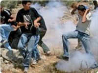 IOF troops wound two Palestinians including child in Nilin