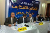 Democratic Alliance Mulls Dual List in Parliamentary Elections