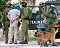 IOF troops arrest 10 foreign activists