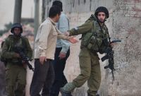 IOF troops round up 3 Palestinians including female teen