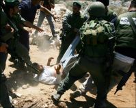 IOF troops quell peaceful anti-wall marches