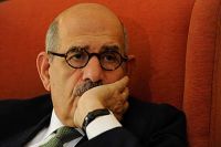 Private photos of El Baradei’s family spark controversy online