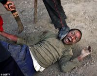 Covering Haiti: When the Media Is the Disaster