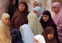 Muslim Brotherhood Girls, Blogosphere