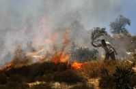 Jewish settlers burn olive trees in Nablus