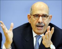 ElBaradei and the Mobilization of the Egyptian Diaspora