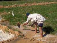 World wants climate change action