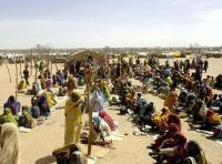 Sudan Needs International Action