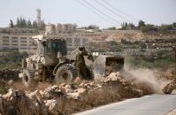 IOF soldiers destroy tens of Palestinian olive trees