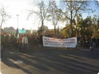 Palestinian and foreign protesters repel settlers’ attack on Sheikh Jarrah area