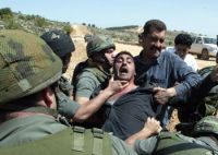 Israeli court convicts anti wall activist