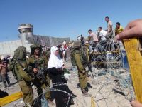 IOF round up 8 Palestinians, renew administrative custody of Jihad leader