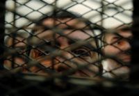 Daqahleya: Arrests continue following MB conference