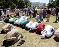 The Idiocy of the Anti-Sharia Crowd