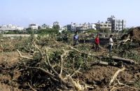 IOF troops burn Palestinian cultivated land