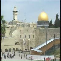 Three Different Views Dealing With Palestinian Crisis