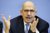 ElBaradei denounces family photo smear campaign