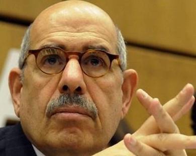 Government behind daughter's photos: ElBaradei
