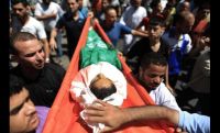 Muslim Brotherhood: Zionist Massacres in Gaza Will Not Weaken Palestinians' Resolve
