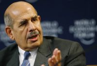 Interview with Mohamed ElBaradei on Democracy in Egypt