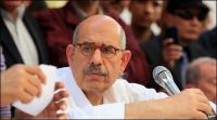 Egypt 'thirsty for change' says Mohamed ElBaradei