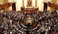 Egyptian politician calls for protesters to be shot