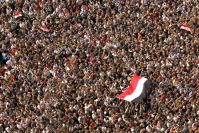 Poll: 32% of Egyptians Will Vote for FJP